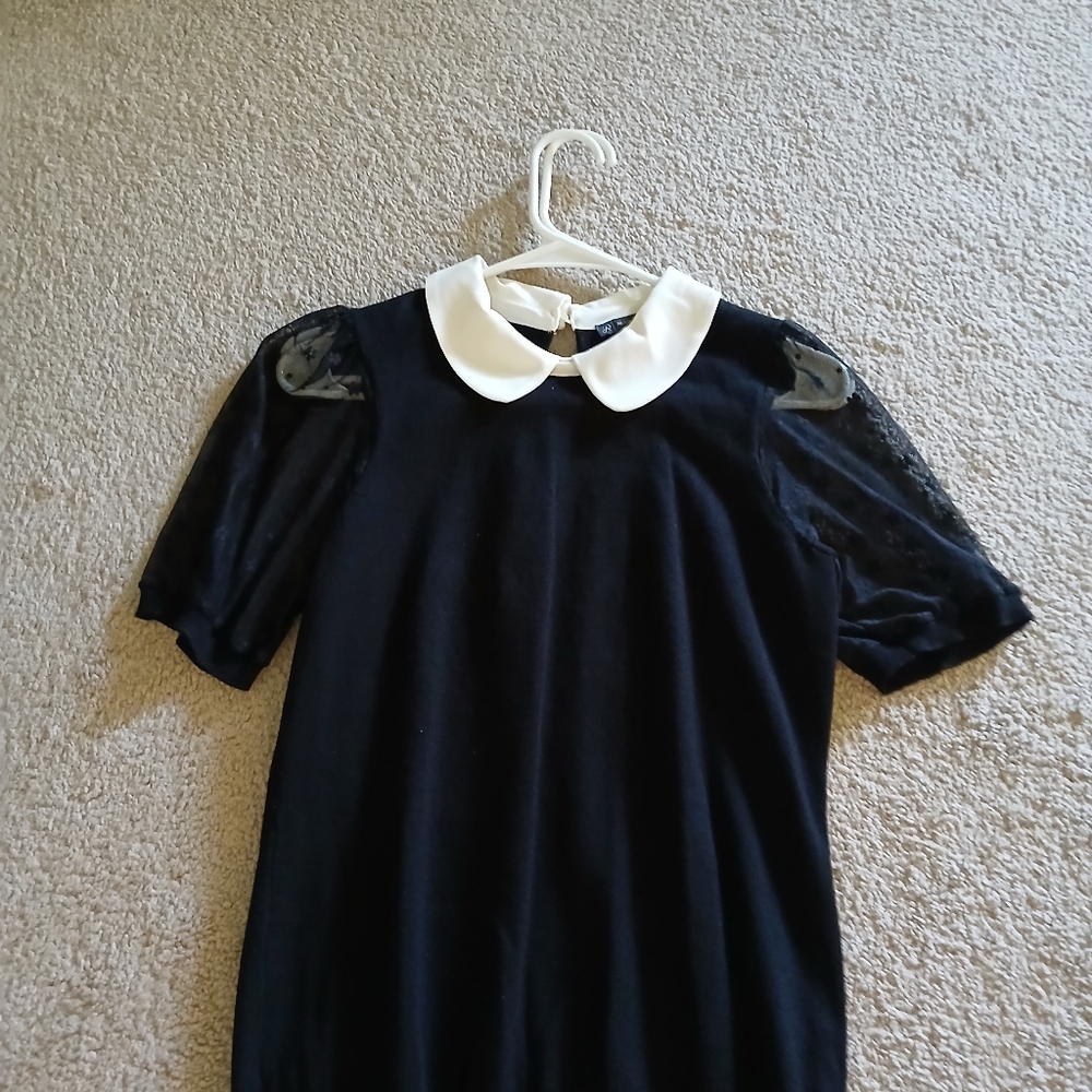 Adrianna Papell Black Blouse with White Collar